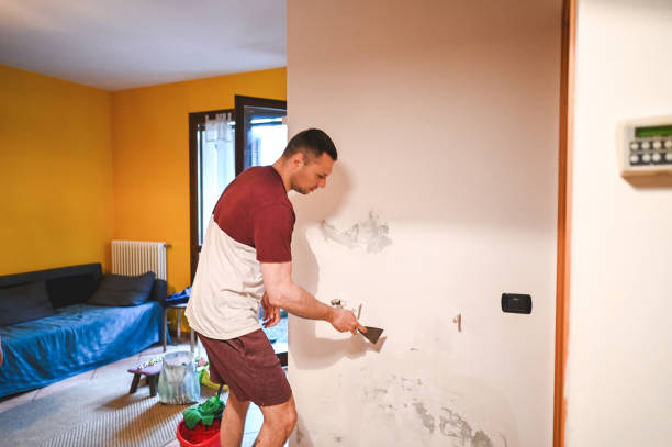 Trusted Gantt, SC Mold Remediation Experts